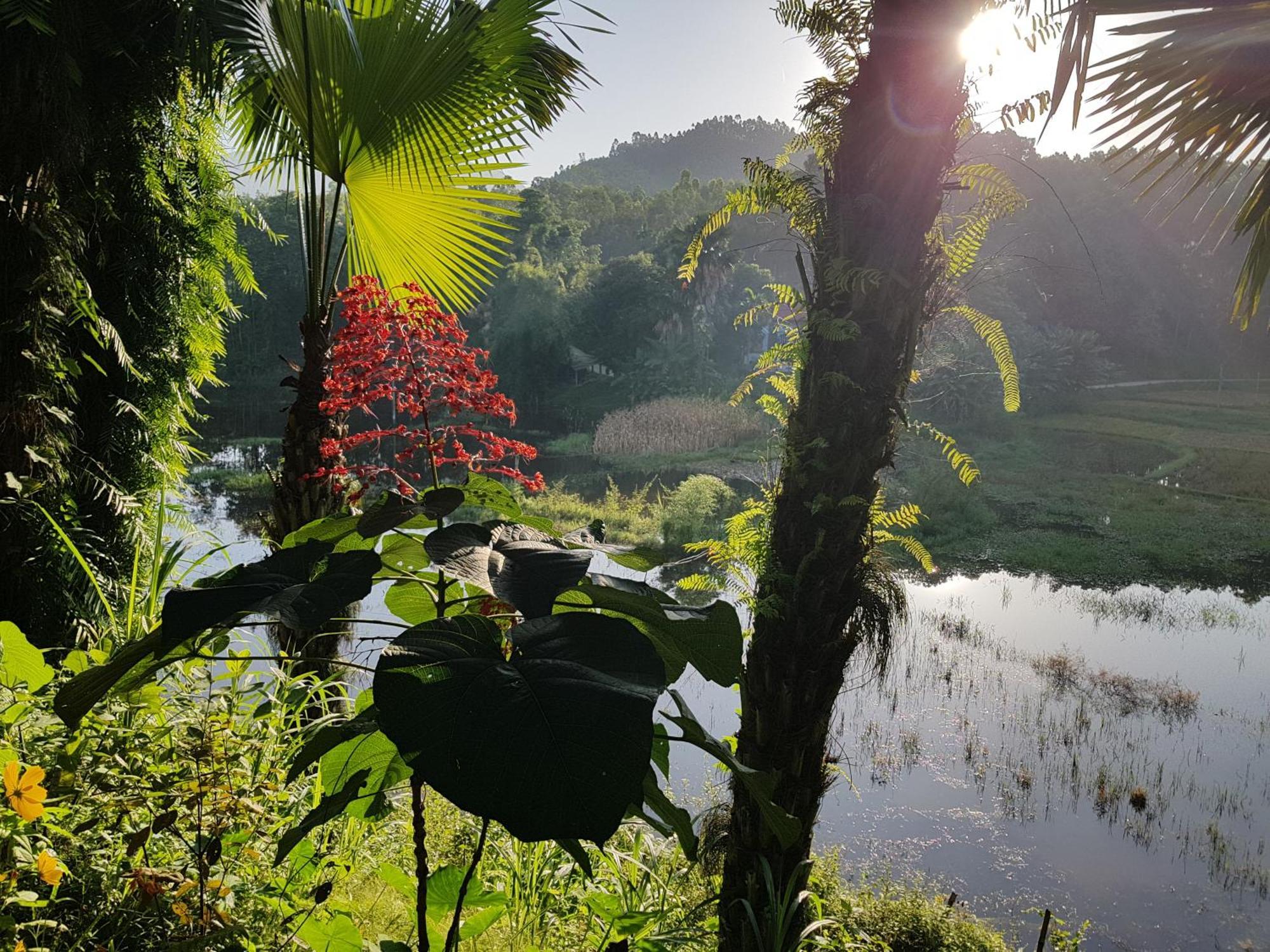 Vu Linh Palm House Eco Homestay Yen Bai Exterior foto