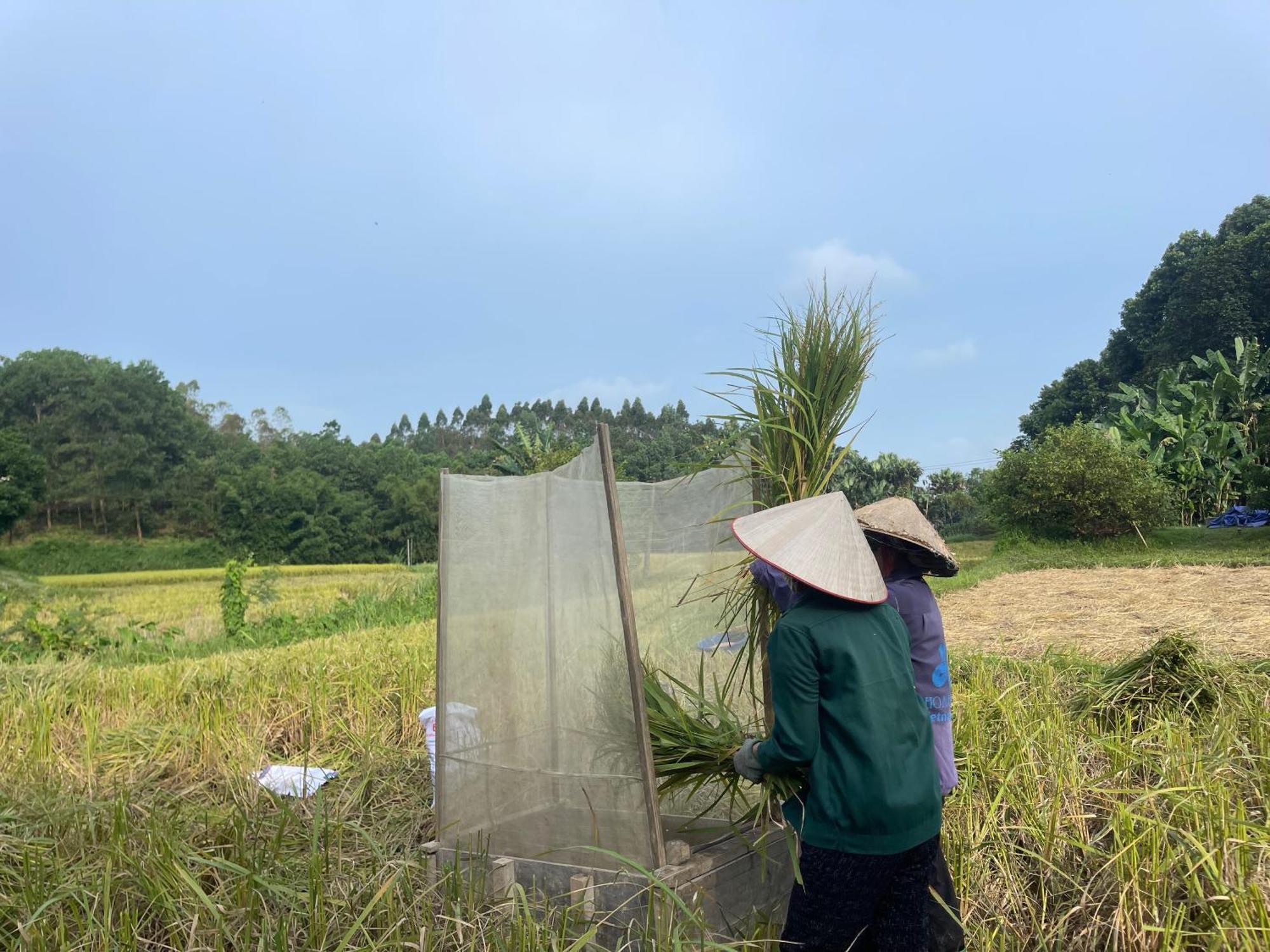 Vu Linh Palm House Eco Homestay Yen Bai Exterior foto
